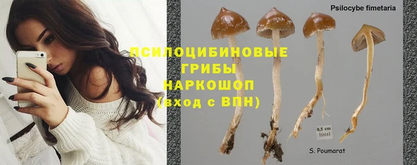 дживик Новокубанск