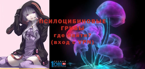 mix Новозыбков