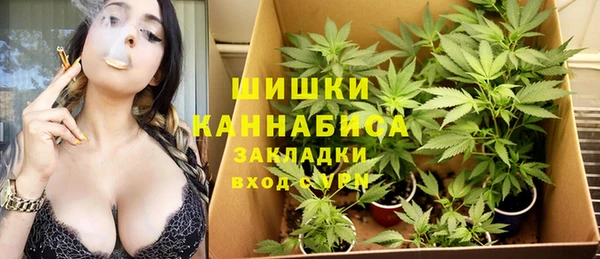 мет Нягань