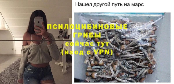 apvp Билибино