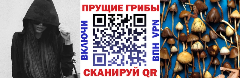 Псилоцибиновые грибы мицелий  купить наркоту  Бугуруслан 