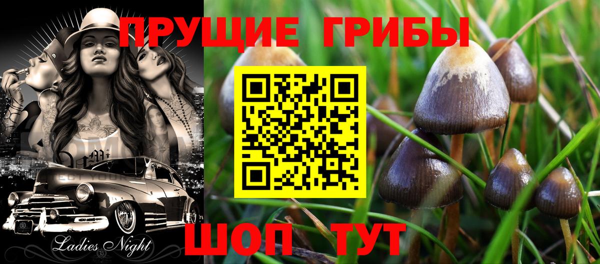 Псилоцибиновые грибы Psilocybine cubensis Бугуруслан