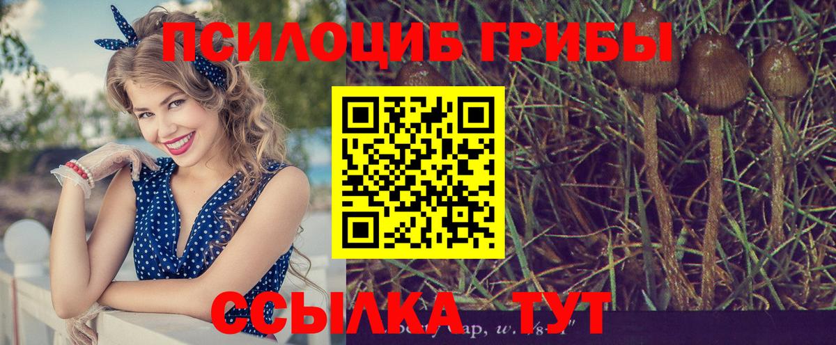 Галлюциногенные грибы Magic Shrooms  Вход с VPN  Бугуруслан 