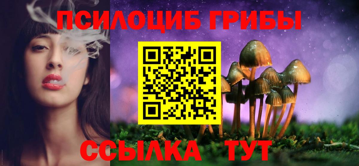 Псилоцибиновые грибы GOLDEN TEACHER  купить наркотик  Галлюциногенные грибы MAGIC MUSHROOMS  Бугуруслан 